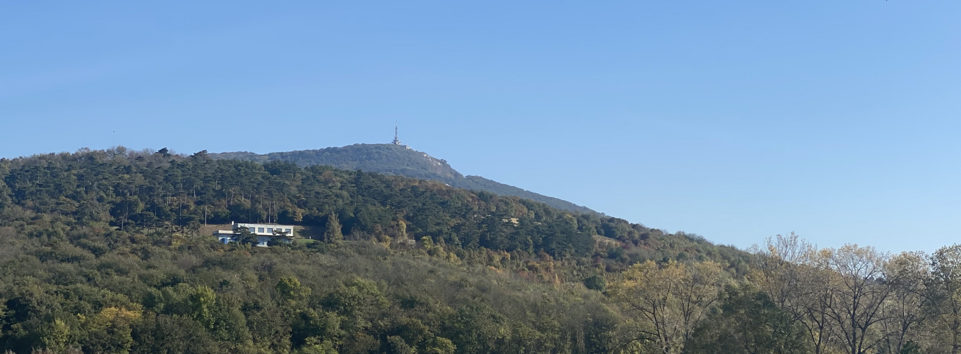 investičné stavebné pozemky v k.ú. Zobor pri R1 na predaj